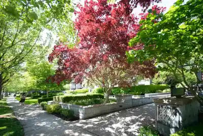225 5777 BIRNEY AVENUE, Vancouver BC V6S 0A4