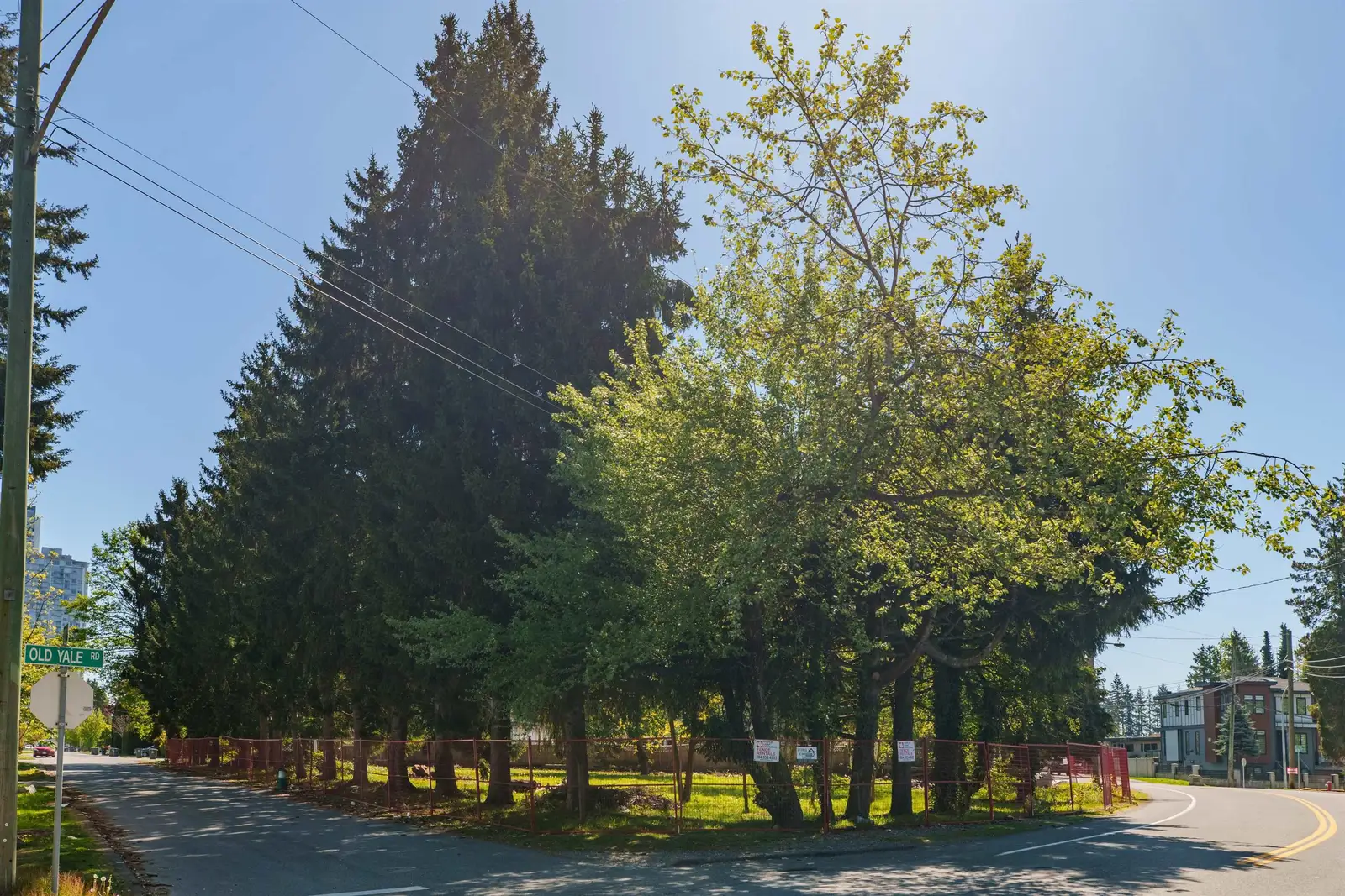13003 OLD YALE ROAD, Surrey BC V3T 3C3
