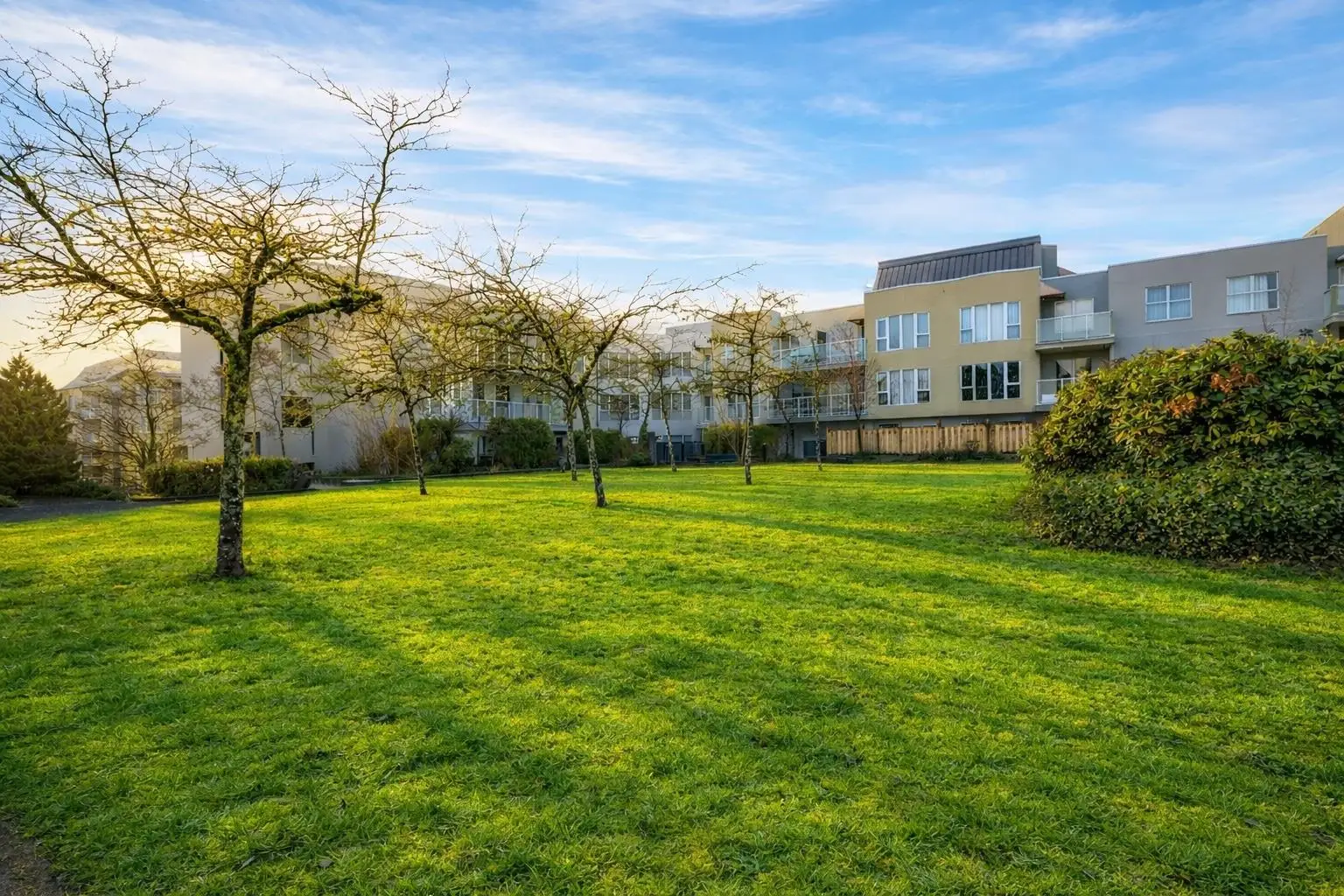 317 7800 ST. ALBANS ROAD, Richmond BC V6Y 3Y5