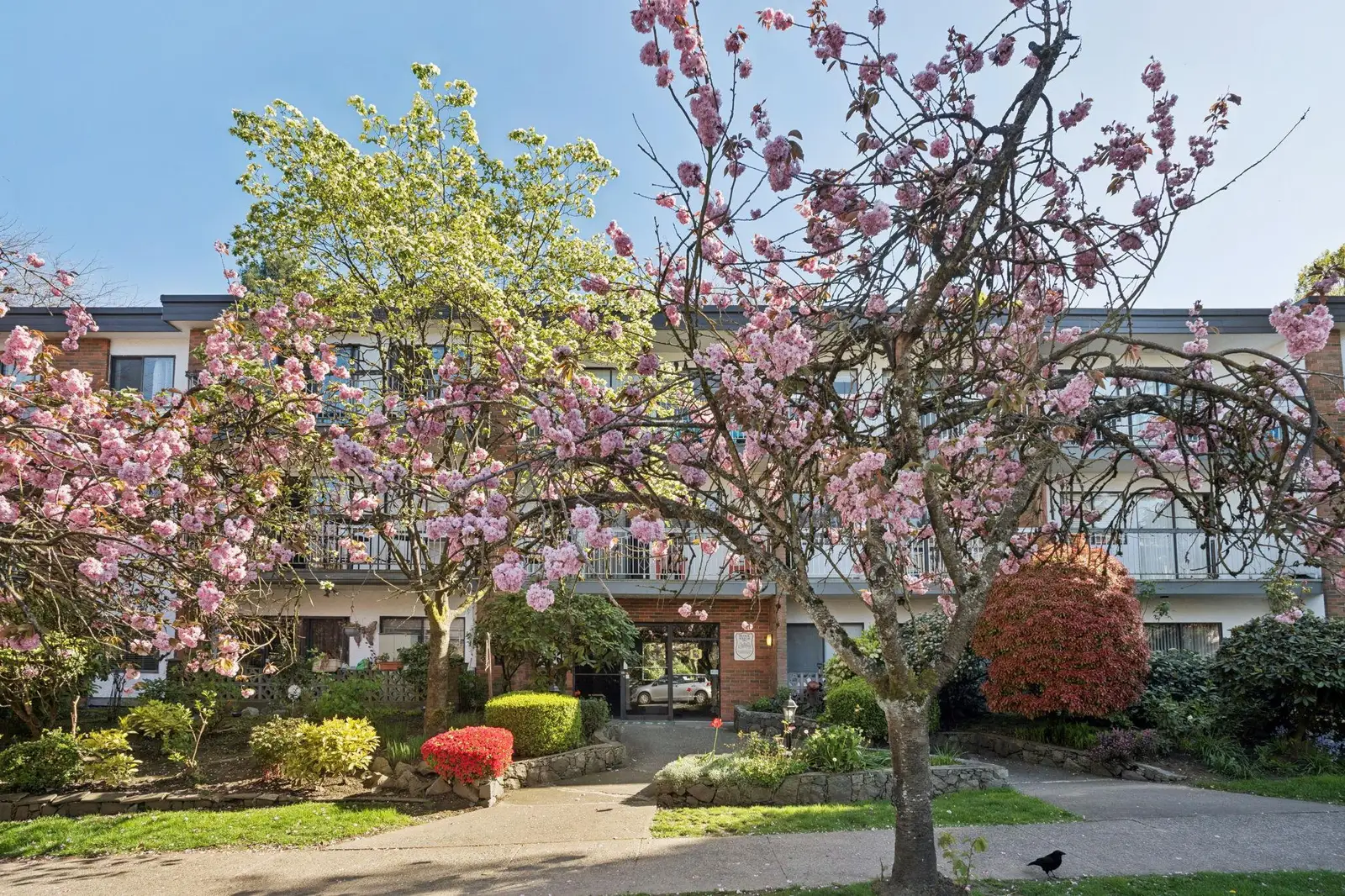 213 1950 W 8TH AVENUE, Vancouver BC V6J 1W3