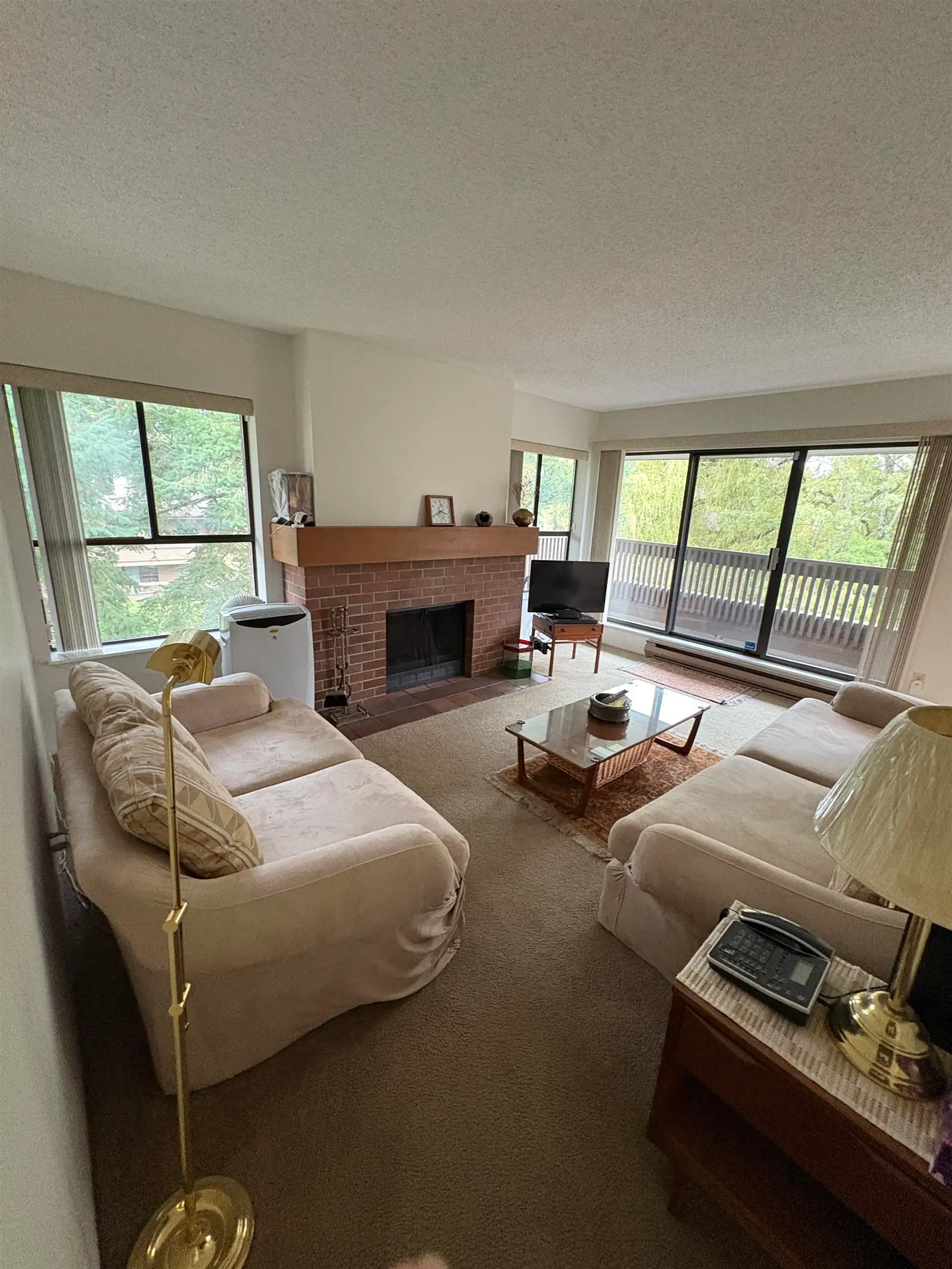 301 7411 MINORU BOULEVARD, Richmond BC V6Y 1Z3