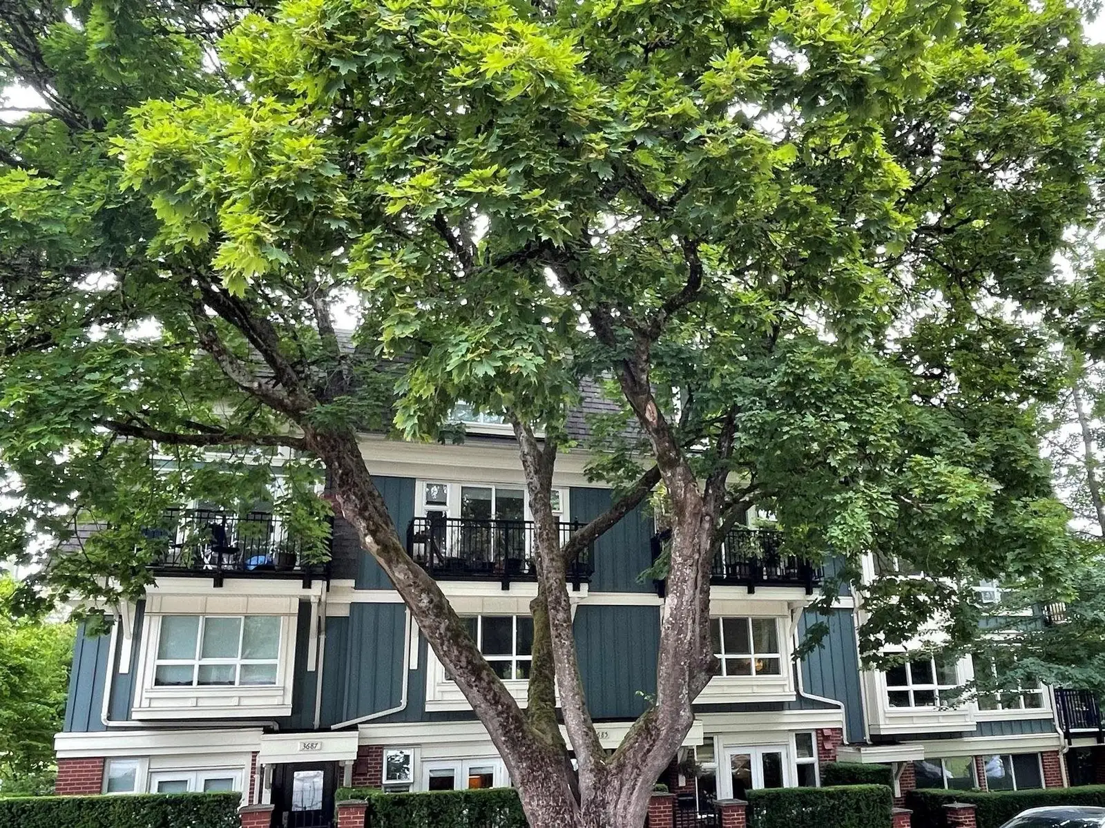 3685 W 12TH AVENUE, Vancouver BC V6R 2N5