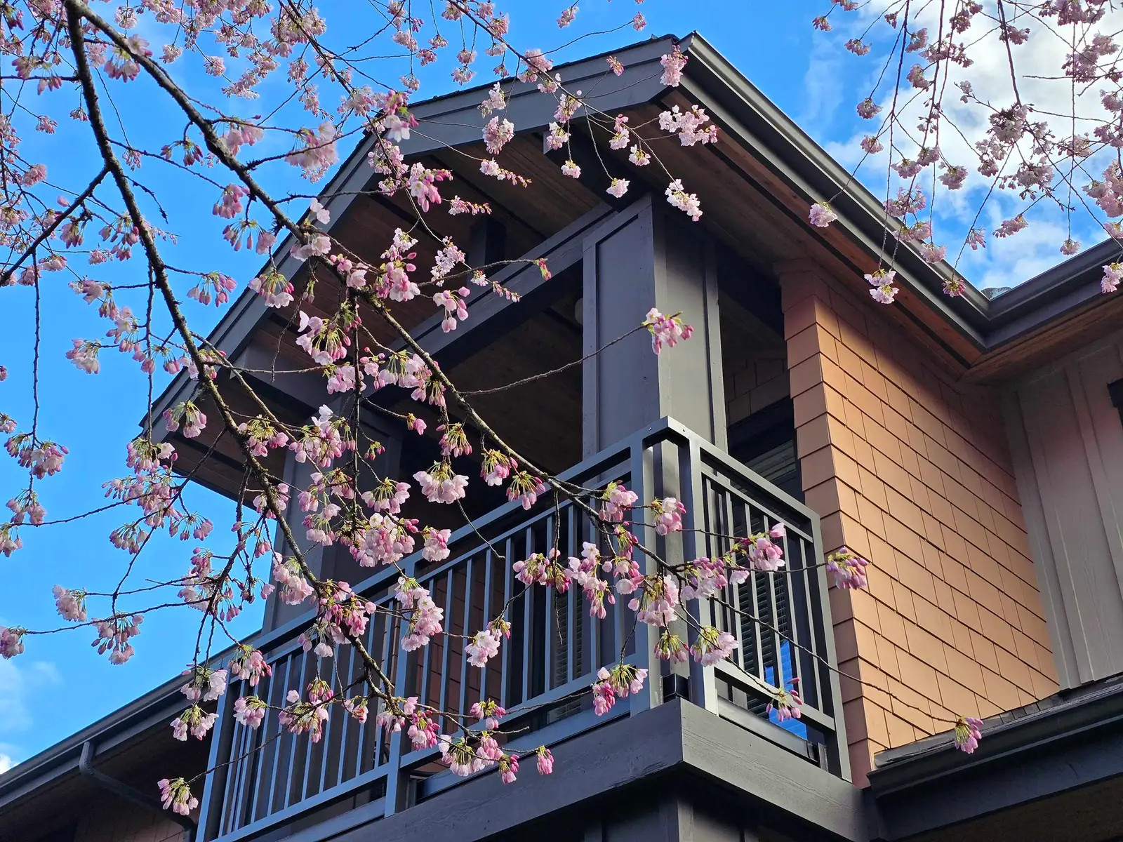 29 555 RAVEN WOODS DRIVE, North Vancouver BC V7G 0A4