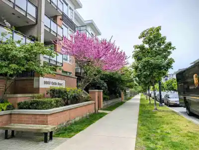 235 9500 ODLIN ROAD, Richmond BC V6V 1C8