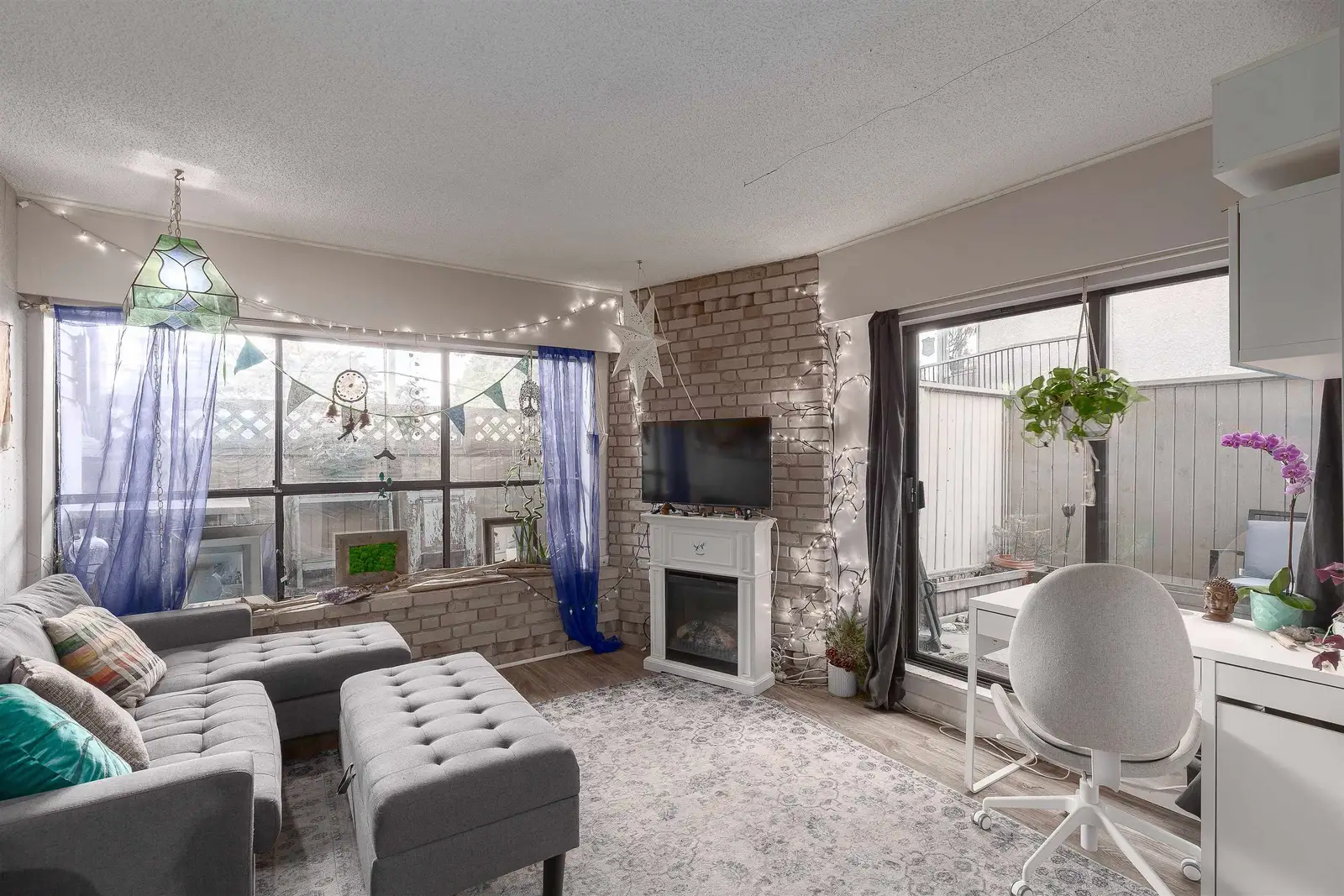102 2234 PRINCE ALBERT STREET, Vancouver BC V5T 4K9