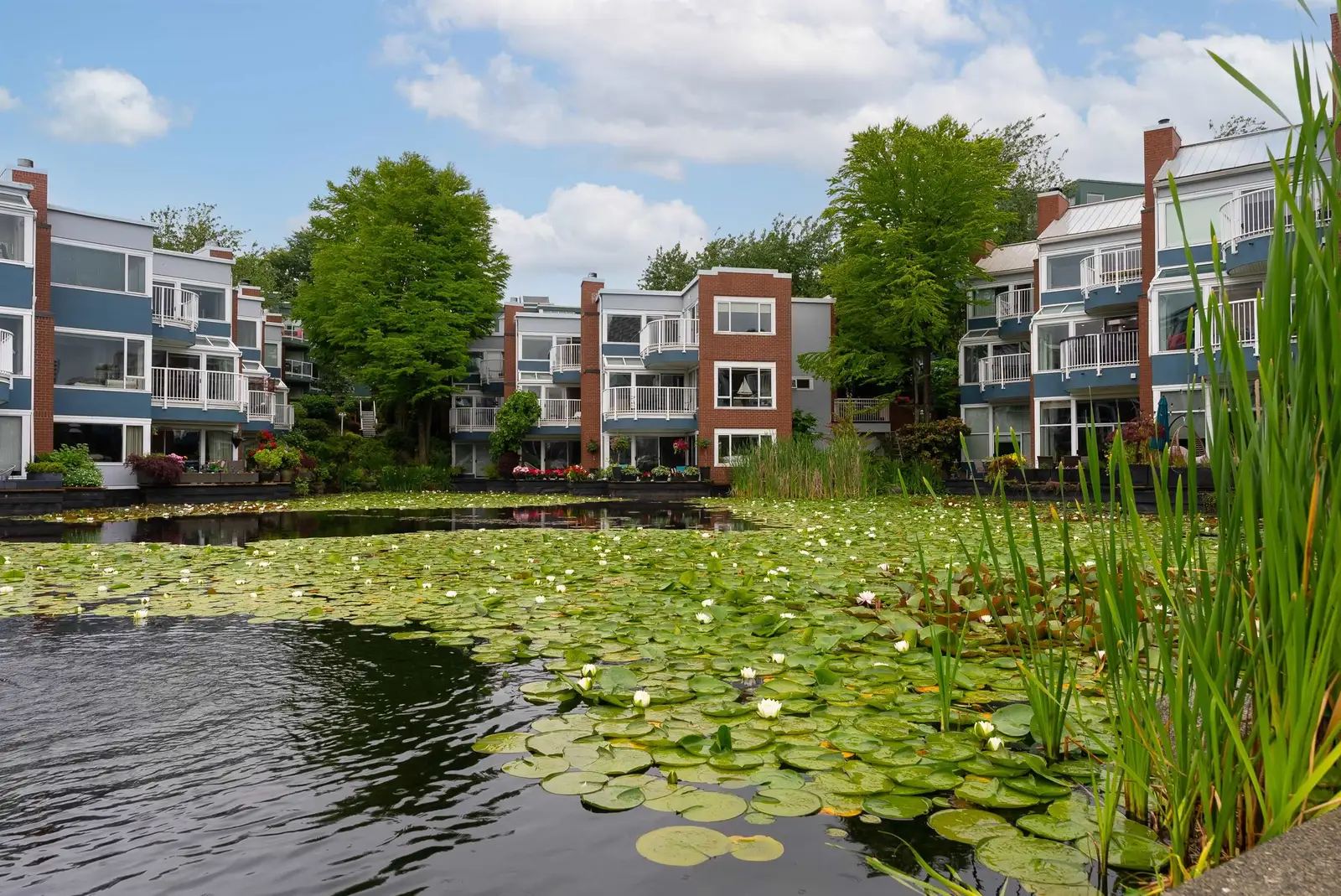 1596 ISLAND PARK WALK, Vancouver BC V6J 0G9