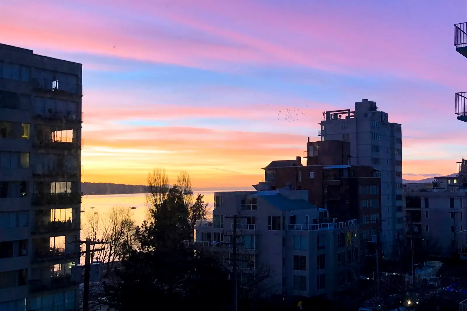 301 1330 HARWOOD STREET, Vancouver BC V6E 1S8